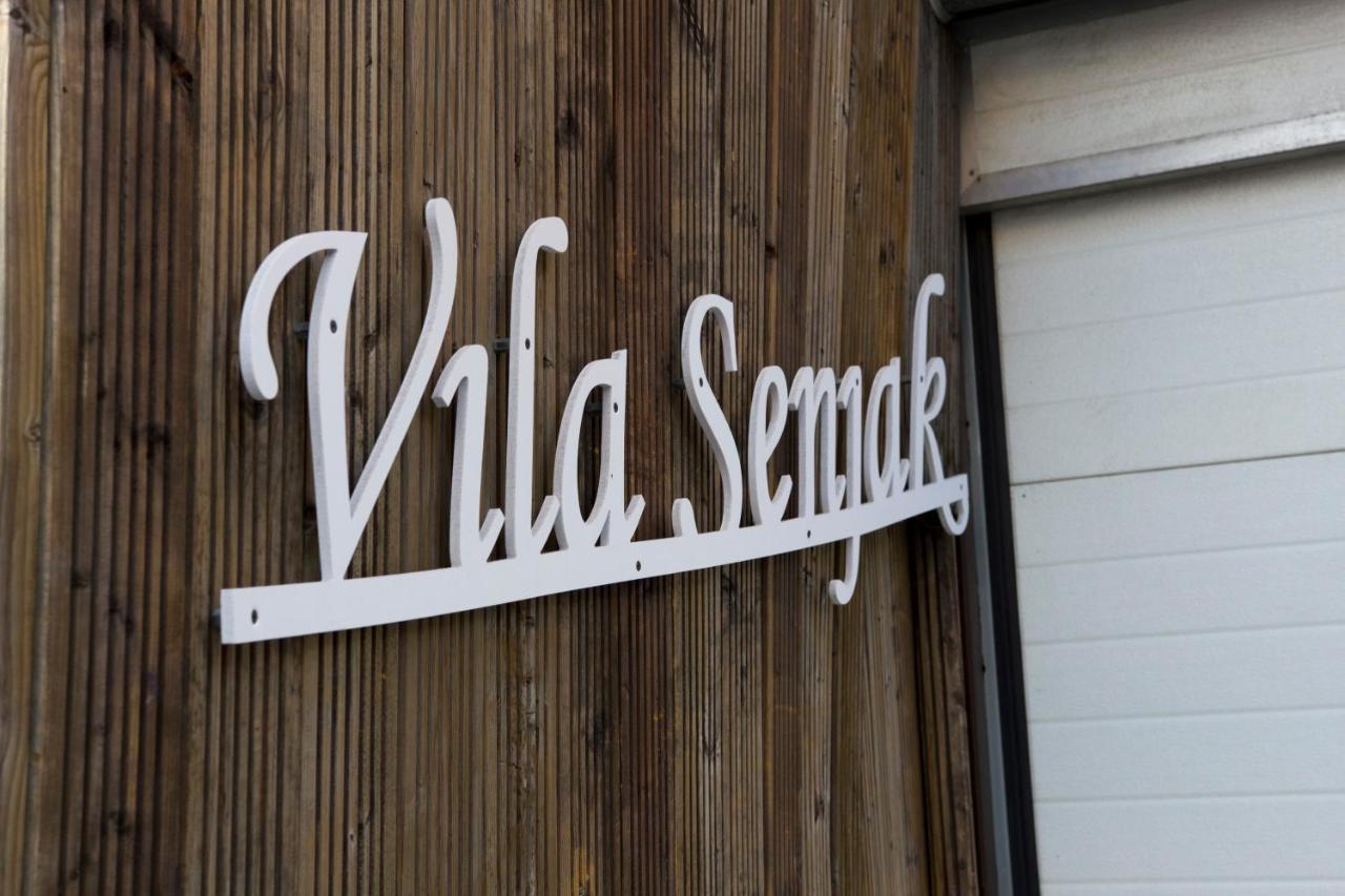 Vila Senjak Beograd Eksteriør billede
